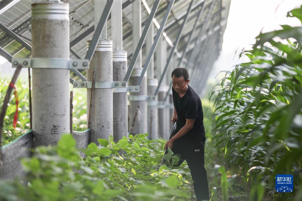 JJ捕鱼显示血量
